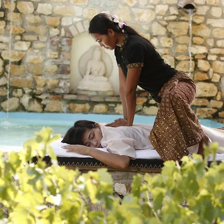 Mas D'alphonse Bed & Breakfast *