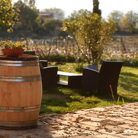 Couette-café Mas D'alphonse *