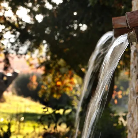 Mas D'alphonse Bed & Breakfast Aigremont