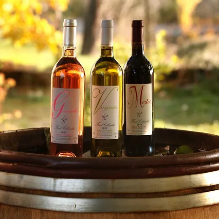 Mas D'alphonse Bed & Breakfast *