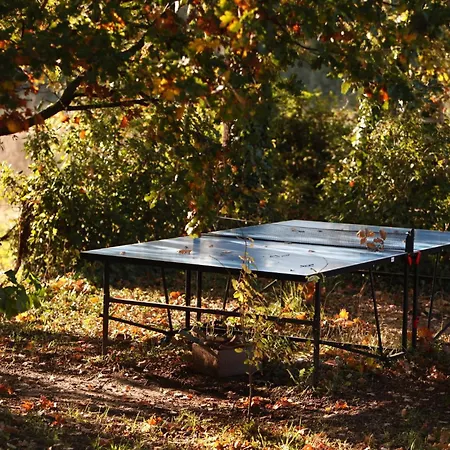 Mas D'alphonse Bed & Breakfast