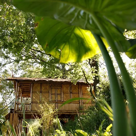 Mas D'alphonse Bed and Breakfast