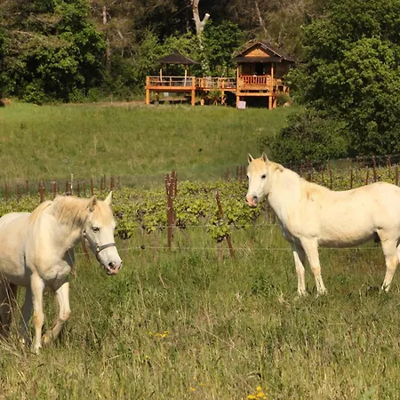 Mas D'alphonse Bed and Breakfast