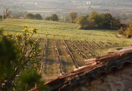 Bed & Breakfast Mas D'alphonse *