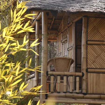 Mas D'alphonse * Aigremont