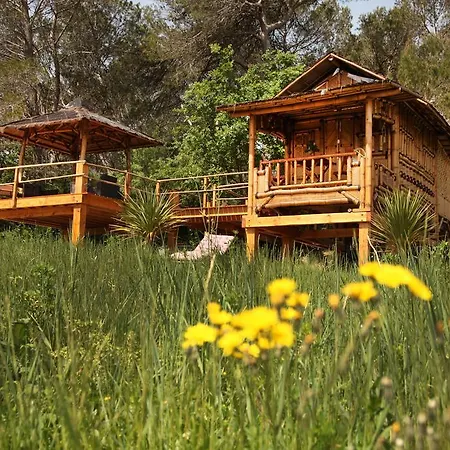 Bed & Breakfast Mas D'alphonse *