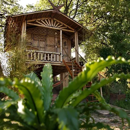 Mas D'alphonse Bed & Breakfast *