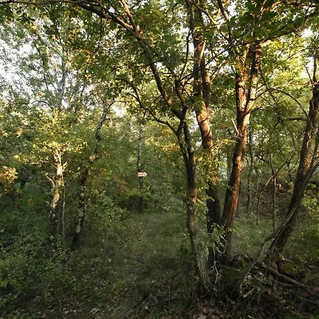 Couette-café Mas D'alphonse Aigremont