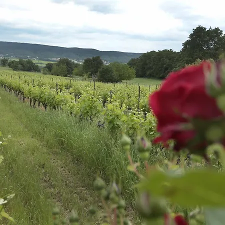 Bed & Breakfast Mas D'alphonse Aigremont