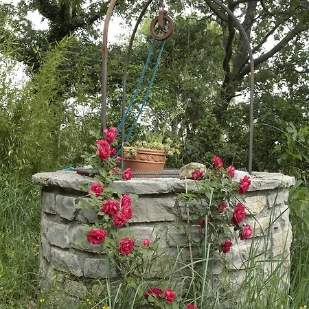 Couette-café Mas D'alphonse *