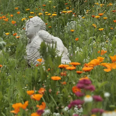 Mas D'alphonse Aigremont