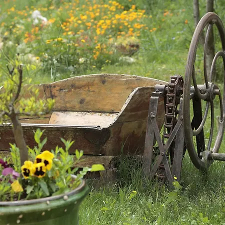 Mas D'alphonse Aigremont